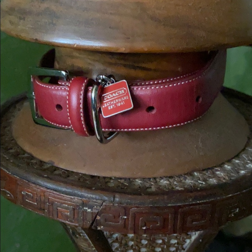 Genuine Leather Coach Dog Collar
